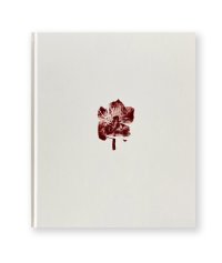 Swaying Flowers / 遠藤文香 ayakaendo