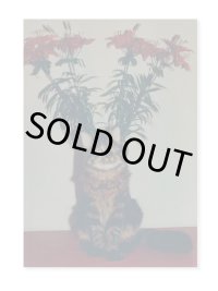 Flowers / THE FOREVER CAT