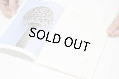 画像4: 群れた島々と キノコたち  /  ホンマタカシ、森下圭子