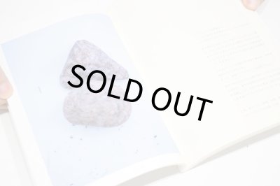 画像5: 群れた島々と キノコたち  /  ホンマタカシ、森下圭子