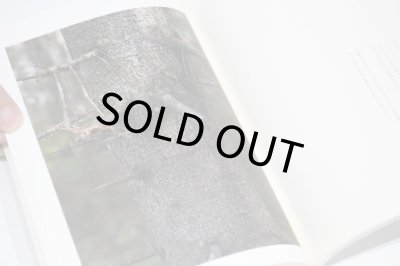 画像8: 群れた島々と キノコたち  /  ホンマタカシ、森下圭子