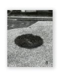 Forming Cityscapes #8 Plants / Jamie Yeo & Gideon Kong