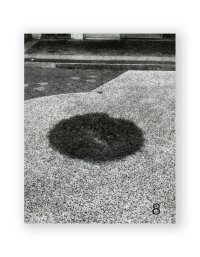 Forming Cityscapes #8 Plants / Jamie Yeo & Gideon Kong
