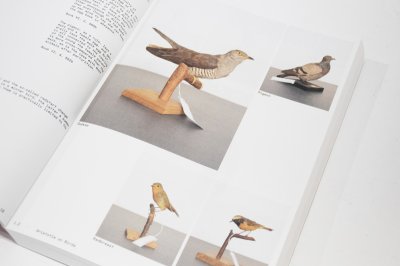 画像2: Ornithology (new edition)　/  Anne Geene & Arjan De Nooy