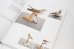 画像2: Ornithology (new edition)　/  Anne Geene & Arjan De Nooy (2)