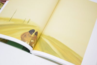 画像10: MANIAC RIVER / 中村太一 TAICHI NAKAMURA