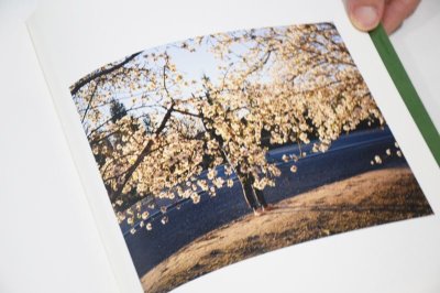 画像9: STANDSTILL  /  WARD LONG