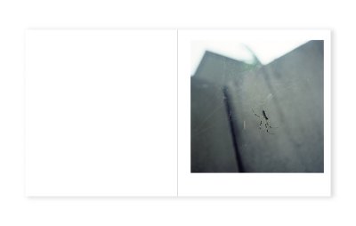 画像10: 針の落ちる音  /  林詩硯