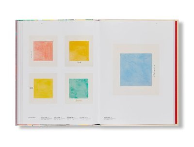 画像9: PAINTINGS FOR THE FUTURE / Hilma af Klint