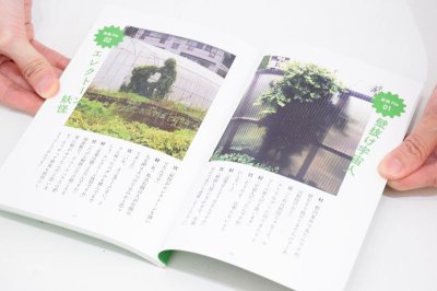 画像2: 植物のふりした妖怪  /  路上園芸学会（村田あやこ、宮田珠己）