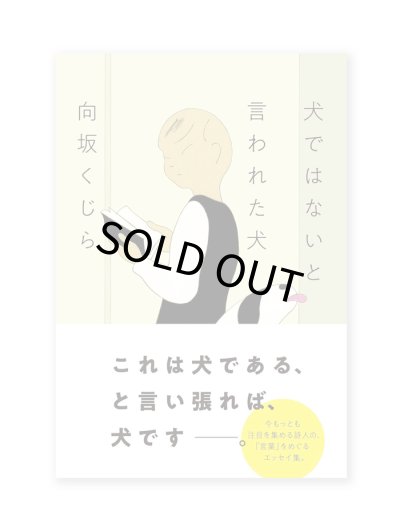 画像1: 犬ではないと言われた犬 / 向坂くじら