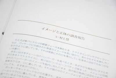 画像12: ［増補版］イメージと正体の調査報告  /  村上慧