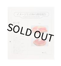 イメージと正体の調査報告  /  村上慧