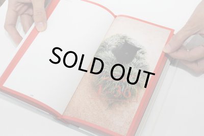 画像7: 限局性激痛 / ソフィ・カル