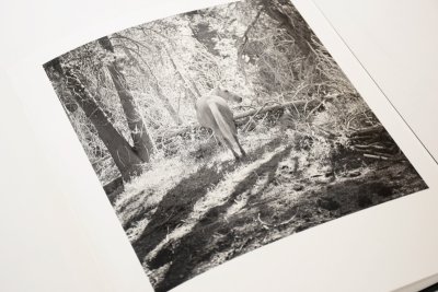 画像4: Megalith-Still  /  Mimi Plumb