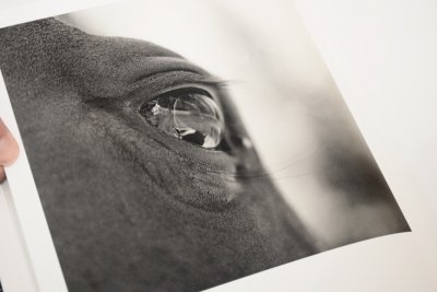 画像7: Megalith-Still  /  Mimi Plumb