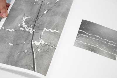 画像2: NATURAL SOURCES / Jochen Lempert