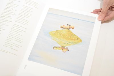 画像10: 同じ大きさの函が無数に入った同じ大きさの函  /  今村哲