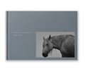 The Horses of Yururi Island　ユルリ島の馬   /  岡田敦