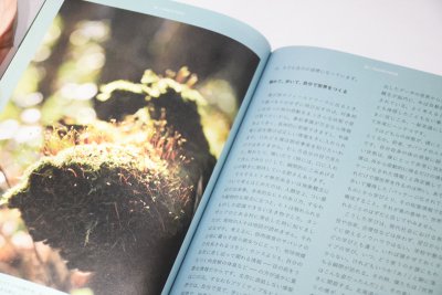 画像8: TRAIL LEARNINGー未知を拓く冒険「歩く」