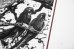 画像4: Des oiseaux / Sebastião Salgado