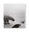 Dioramas /  杉本博司 Hiroshi Sugimoto