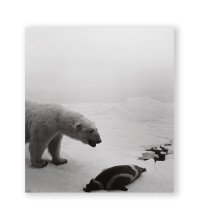 Dioramas /  杉本博司 Hiroshi Sugimoto