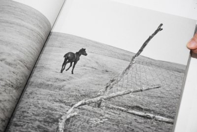 画像2: Horses / Jane Evelyn Atwood