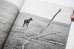 画像2: Horses / Jane Evelyn Atwood (2)