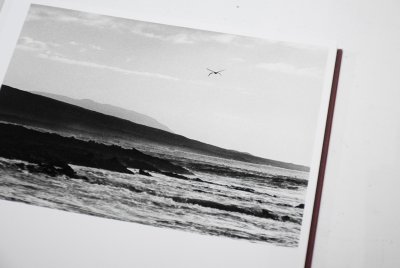 画像2: Des oiseaux / Sebastião Salgado