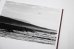 画像2: Des oiseaux / Sebastião Salgado (2)