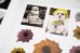 画像6: THE UNBELIEVABLY FANTASTIC ARTISTS’ STICKERS BOOK