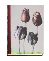 Les extravagantes / Leendert Blok,  Gilles Clément