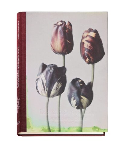 画像1: Les extravagantes / Leendert Blok,  Gilles Clément