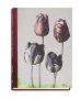 画像1: Les extravagantes / Leendert Blok,  Gilles Clément (1)