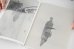 画像5:  [SIGNED] STAINS & ASHES / Ola Rindal