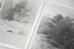 画像8:  [SIGNED] STAINS & ASHES / Ola Rindal