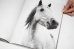 画像5: Horses / Jane Evelyn Atwood