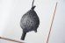 画像2: Des oiseaux / Nathalie Baetens (2)