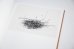 画像3: Des oiseaux / Nathalie Baetens