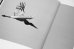 画像5: Des oiseaux / Sebastião Salgado