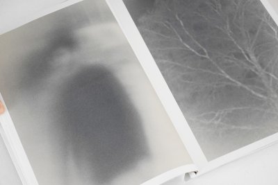 画像2:  [SIGNED] STAINS & ASHES / Ola Rindal
