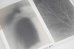 画像2:  [SIGNED] STAINS & ASHES / Ola Rindal (2)