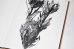 画像11: Des oiseaux / Nathalie Baetens