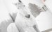 画像14: Horses / Jane Evelyn Atwood