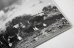 画像10: Horses / Jane Evelyn Atwood