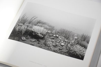 画像2: Dioramas /  杉本博司 Hiroshi Sugimoto
