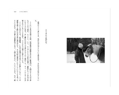 画像4: ここは安心安全な場所 /  植本一子