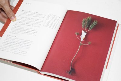 画像2: 折形のコードとモード / 山口信博（折形デザイン研究所）