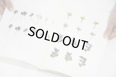 画像14: Book Of Plants (new edition)  /  Anne Geene